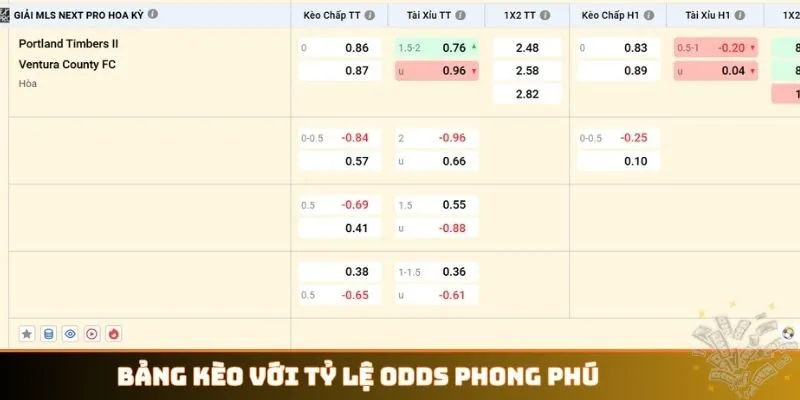 Bảng kèo với tỷ lệ odds phong phú