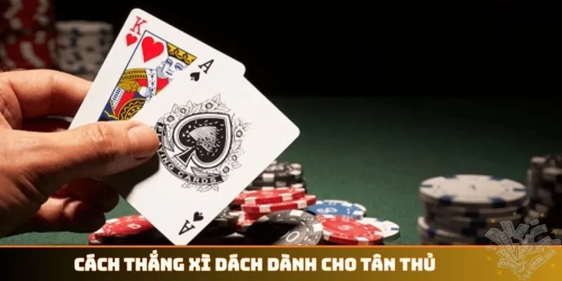 Cách thắng Xì Dách dành cho tân thủ