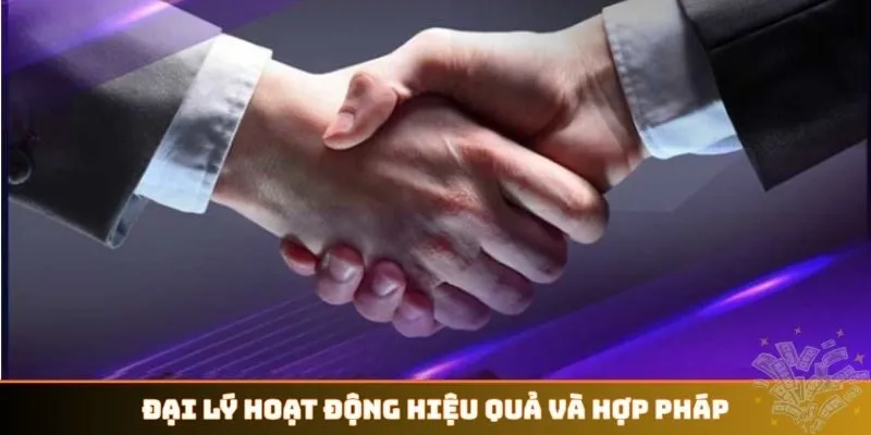 Đại lý hoạt động hiệu quả và hợp pháp